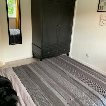 Modern Flat In Harlech - Dog Friendly! Apartment Ngoại thất bức ảnh
