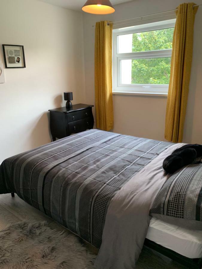 Modern Flat In Harlech - Dog Friendly! Apartment Ngoại thất bức ảnh
